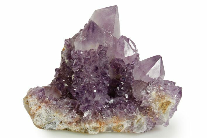 Deep-Purple Cactus Amethyst Crystal Cluster - South Africa #364580